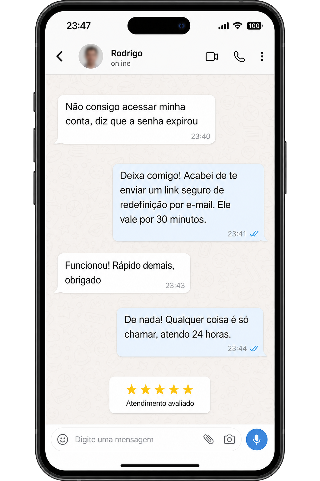 Conversa ilustrativa do Agente de suporte da Grek